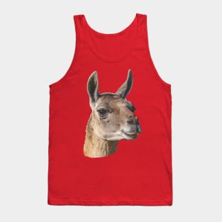 Beautiful head of a Guanaco Tank Top